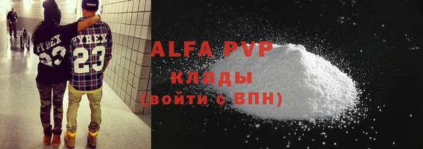 PSILOCYBIN Дедовск