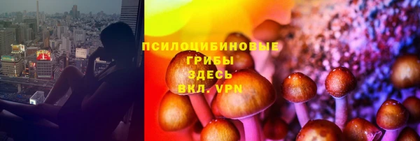 сатива Алексин