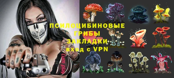 сатива Алексин