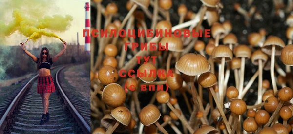 apvp Дегтярск