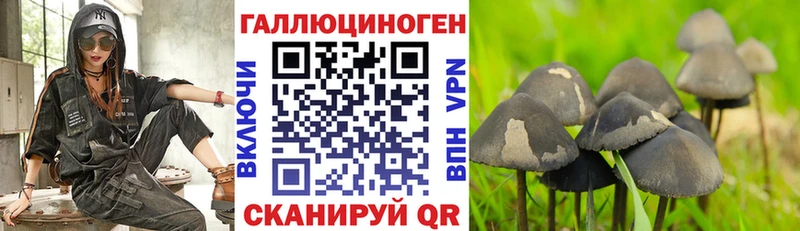 Галлюциногенные грибы GOLDEN TEACHER Нововоронеж